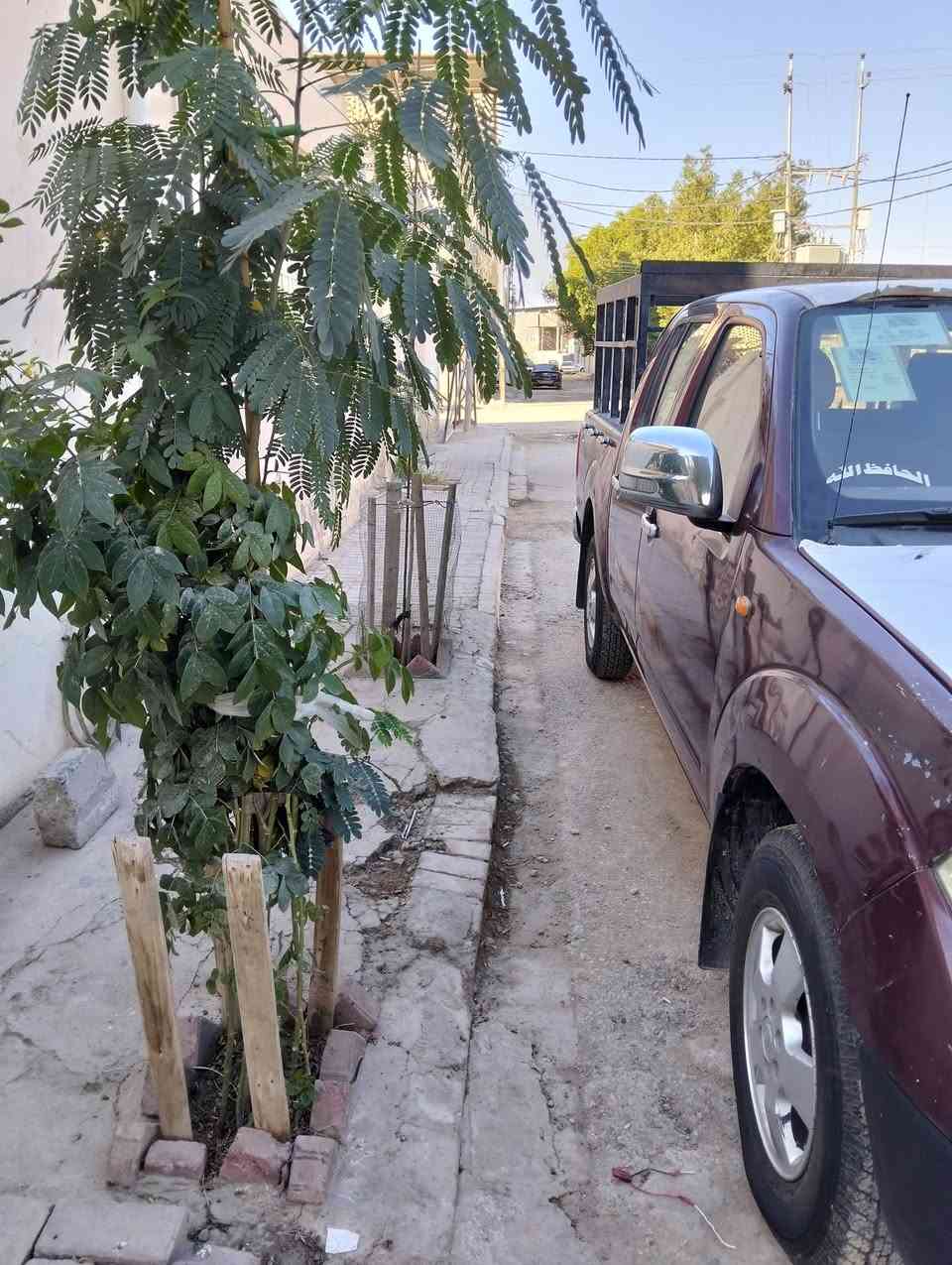 مراوس كيا فحل 
نيفاره كير مكينه ملكه مديل ٩ سعودي تخم تاير حداديه كهربائيات 
سليمانيه نكليزي 
بيها رشات صبغ مكفوله من كلبه وتحوه وحار وفتح 
مراوس كيا ونطي فرق


**إذا كنت صاحب هذا الإعلان وتريد حذفه لأي سبب، رجاءا أرسل رسالة إلى الدعم الفني**