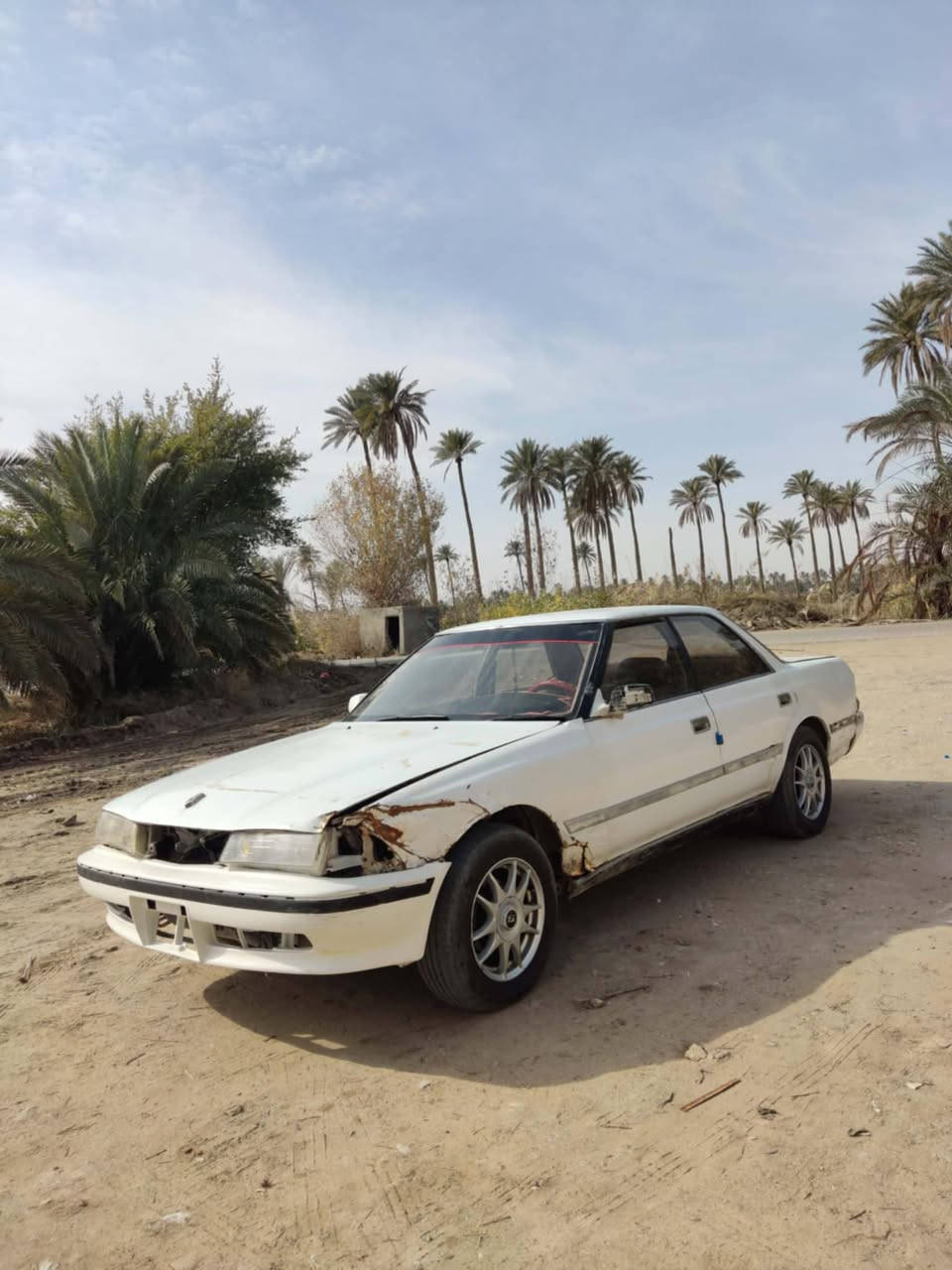 سياره مارك عضم مديل 1991
مكفوله من كصة جنطه وقماره ونقل جثه وكير ومحرك سنويه صاقطه 8 تشهر وعليه غرامات ٢٠٠ الف سعر 28 وبيه مجال لشراي المكان الديوانيه قضاء غماس الاستفسار عله الرقم ***********
