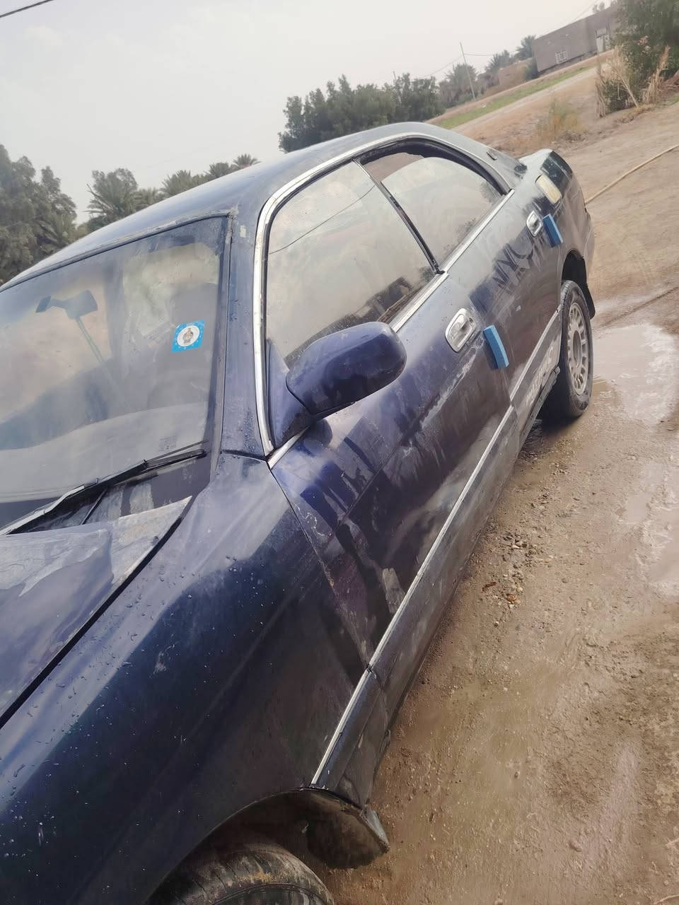 السلام عليكم بطه متصل 92رقمه انكليزي  مشروع وطني  نجف بسمي سنويه لسنه 2028 
السعر 40وبيه مجال المكان السماوه متواجد فيس

*********** مداور ثاني يوم مصفره من كلشي
