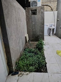 بيت للبيع بنا حديث سنة 2023  المكان حي الصحة المساحة 195 طابو زراعي سن...