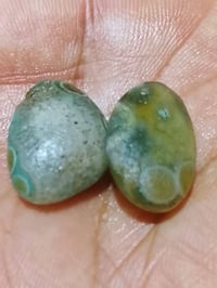 زوج سليماني • اخضر • نوادر