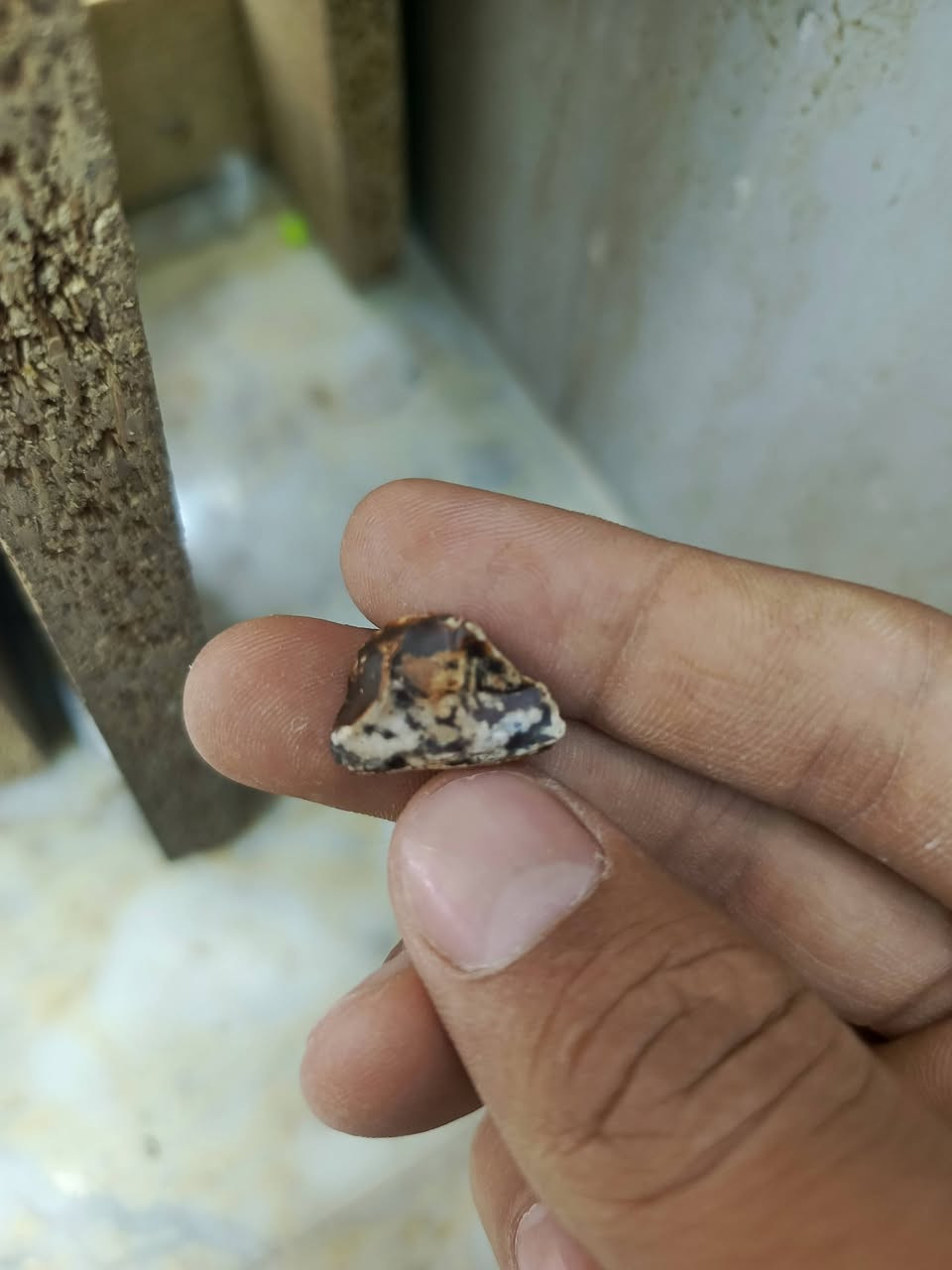 شبيه لصوره السيد مقتدى الصدر وايضن وجه ثاني ومصوره إلى خريطه العراق+للبيع راسلني خاص وخادم


**إذا كنت صاحب هذا الإعلان وتريد حذفه لأي سبب، رجاءا أرسل رسالة إلى الدعم الفني**