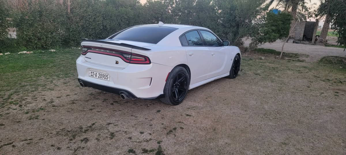 دوج تشارجر اسكات باك 🐝 اصل اس ارتي 6400 مكينة وكير وحدادية جاهز ادامة كامله عليها بلكات ريسنك برمجة وتفريغ دهن مكينة وكير وفلتر جديد شاشة اس ارتي دركة اس ارتي شعار 392 دشبول وشاشة ودركة شعار 🐝 بالكشنات غرفة بلاد مواصفات تشغيل عن بعد تدفئة وتبريد بالكشنات شفتات استيرن حساس امامي خلفي تحكم استيرن كامل صندوك بصمة بصمة ابواب وتشغيل ويل 20اصلي نقط عمياء رقم نينوى انكليزي وباقي المواصفات المعروفه جاهزة للاخير موديل 21 ممشى 36ميل السعر ٢٧٥ للبيع او للمراوس عنواني غرب سجن ابي غريب رقمي *********** بغداد, العراق
