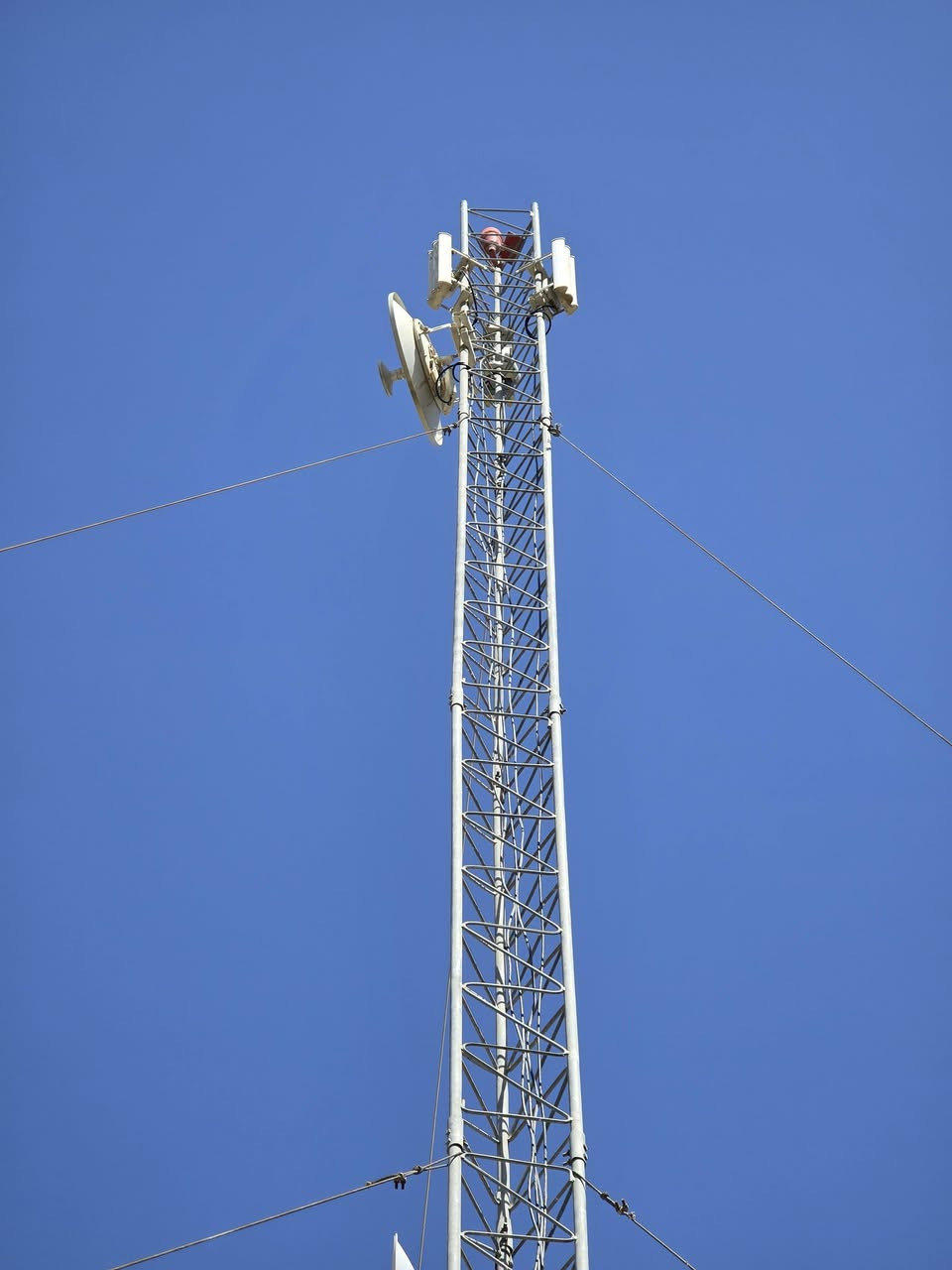 تم تفصيخ ونصب ٢١ م كربلاء
***********
علاء
