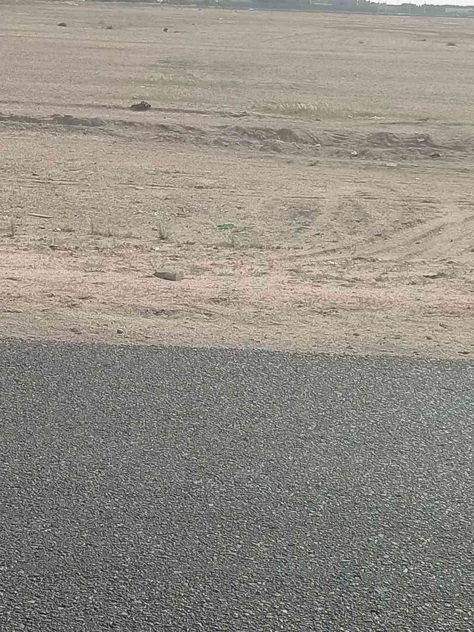 سلام عليكم ١٠ دوانم البيع عل شارع تبليط شارع المعادن موقع حلو سعر خاص ***********
