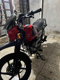 بوكسر جبلي • موديل 2022 • مرقم وباسمي