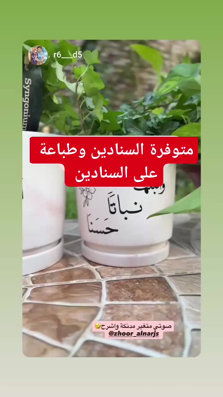 أجمع جمال العبارات الجميلة 
مع جمال النبات الاخضر ⭐
 #مشتل_زهور_النرجس 
متوفرة كافة انواع واحجام السنادين 
والطباعة ايضا


**إذا كنت صاحب هذا الإعلان وتريد حذفه لأي سبب، رجاءا أرسل رسالة إلى الدعم الفني**