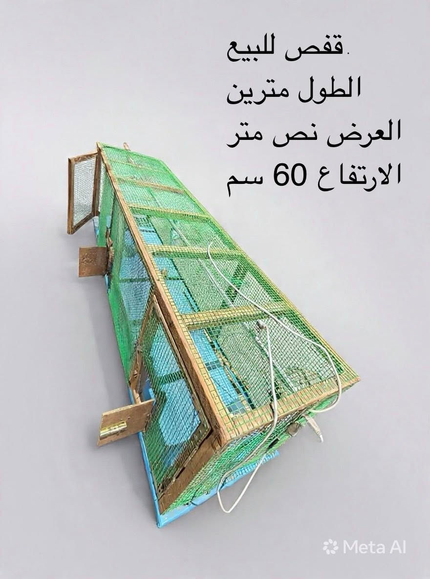 قفص خشب سيم قوي 3 أبواب وإنارة نشرة وگلوب


**إذا كنت صاحب هذا الإعلان وتريد حذفه لأي سبب، رجاءا أرسل رسالة إلى الدعم الفني**