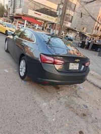 ماليبو • ٢٠١٩ • حادثة امريكا