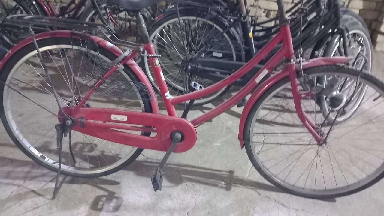 اللهم صلي على محمد وآل محمد
باسكلات حاويه للبيع 
فول نضافه ماركه ياباني حجم ٢٦ 
مكاني شطره قرب المعهد التقني مجاور ملعب الشهداء الخماسي للإستفسار على الرقم ***********بي وات ساب لالايوجد توصيل
