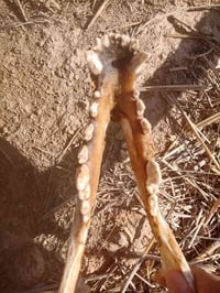 أغراض شخصية • متنوع • وصف ناقص