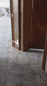 شقه للايجار في كربلاء البوبيات قرب اسواق برتقال مقابل عامود ٤٧ التواصل ***********
