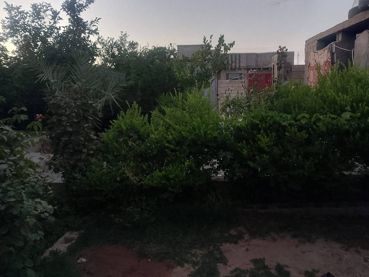 عرض جديد ومميز
#بيت للبيع 

#تفاصيل ،بيت كامل وجاهز للسكن استقبال هول غرفتين صحيات داخليه وخارجيه غرفتين حجر ولباقي بناء بلوك ،

#مساحته 400 متر

#موقعه حصيبه حي الامين شارع مدرسه ابن قدامه قرب معمل زفت القديم 

#السعر 40 وبي مجال قليل 

***********

