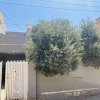 حي المعلمين الجديد • ٢٥٠م • ينباع نصفين