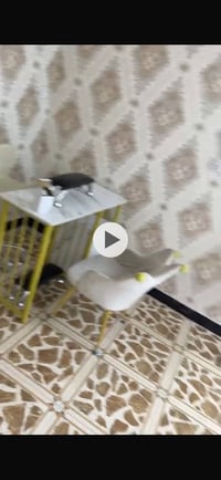 اكرليك • كرسي • ميز