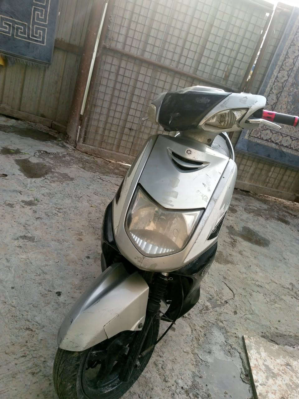 سكنس للبيع 250الف ***********
