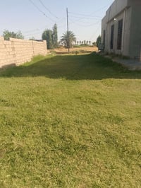 بيت للبيع  المساحه نصف دونم  السعر 75قابل للتفاوض  جنس العقار طابو زرا...