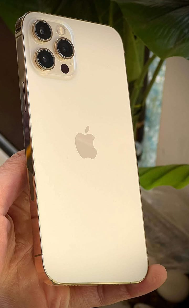 ايفون 12pro max ذاكره 256 بطاريه 77 جهاز مكفول لامفتوح ولامبدل بي شي ابد كلشي ماوياه فقط الجهاز لاكارتونه ولاشاحنه ب450 قفل


**إذا كنت صاحب هذا الإعلان وتريد حذفه لأي سبب، رجاءا أرسل رسالة إلى الدعم الفني**