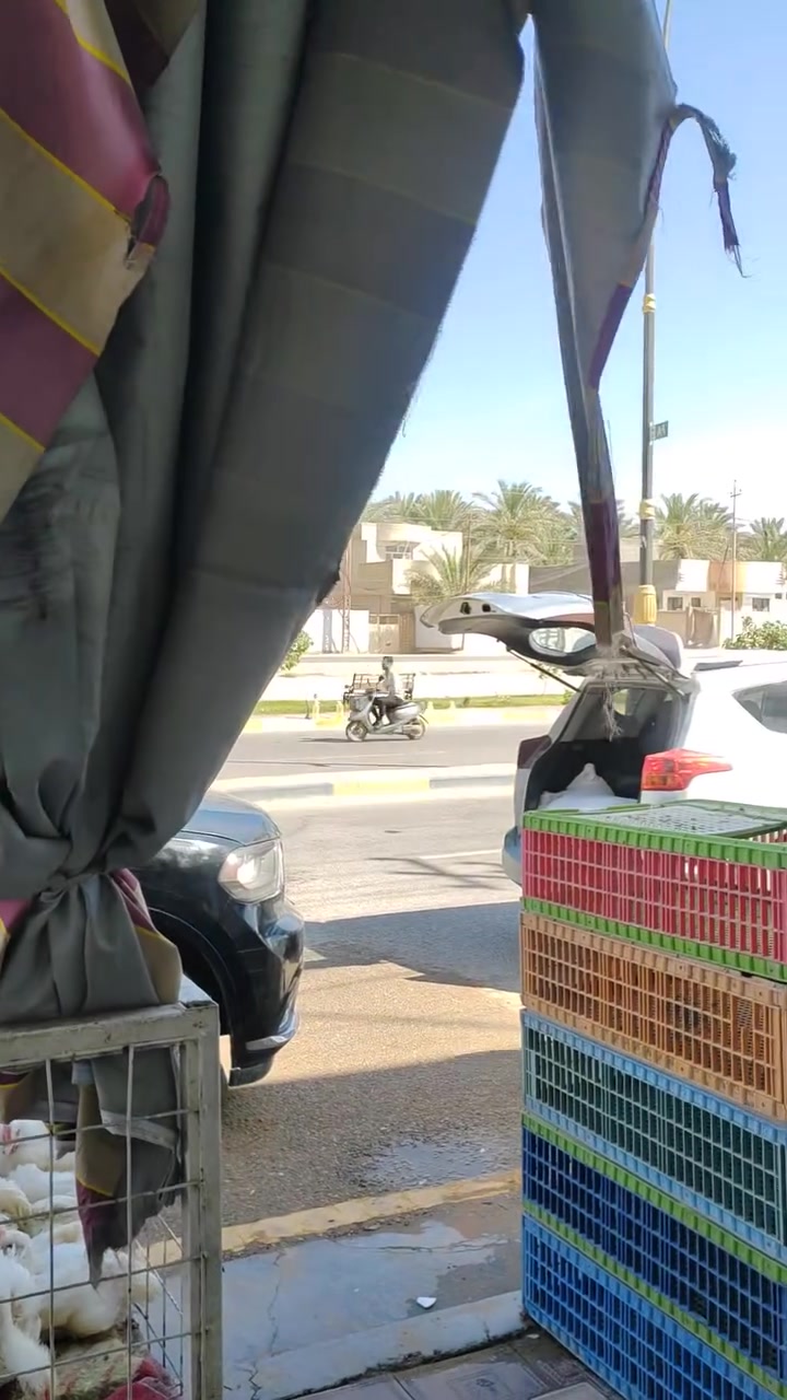 سلام عليكم محل دجاج للبيع شغال وخير من الله مستعجل كلش على بيعته لان محتاج فلوس عندي عمليه ومحتاج كلش الله يشهد لو مامحتاج مابيعه كامل من كلشي تجي بس تكعد بي كبل وايجار مدفوع ليوم واحد ومولد مدفوع ايجاره ٤٠٠ بل شهر المكان السيدين مال باب بغداد عمود ٨٨  السعر ٤ملاين وبي مجال ومو سعره هاذا والحسين  الاستفسار الاتصال ***********  ملاحضه إذا تتصل وتكلي باجر اجيك ويجي غيرك ابيع
