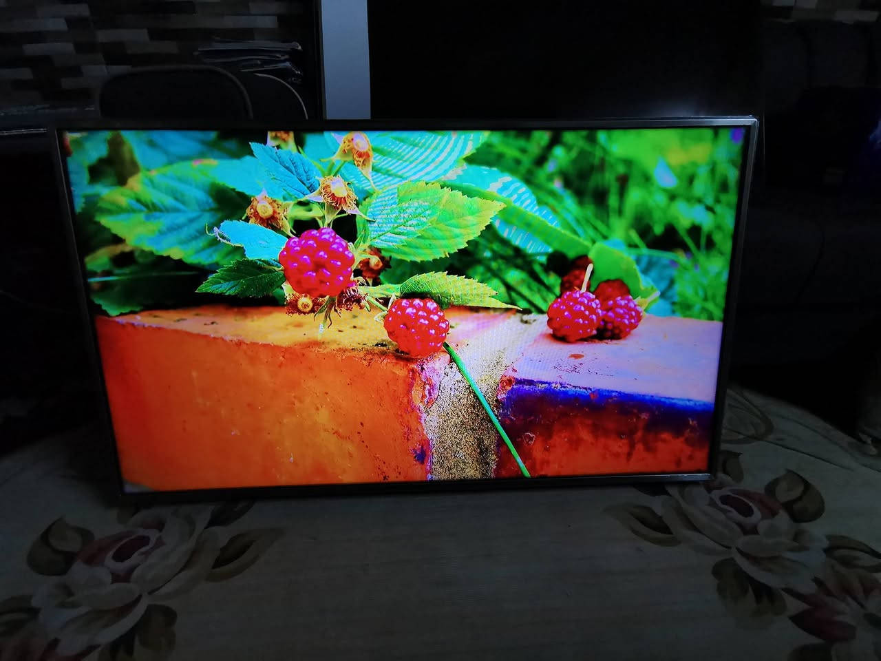 سلام عليكم عندي شاشه نوع LG webos كوري الأصلي حجم 49 بي ستلايت داخلي سمارت انترنت نضيف جدا السعر 400 الف العنوان البياع حي الرساله الأولى قرب مدينة العاب الكرخ تلفون ***********4
WhatsApp +964***********
