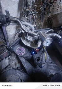 ستيرن رياضي • ثعلب • جوكر