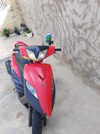 ثعلب • نظيف • مراوس