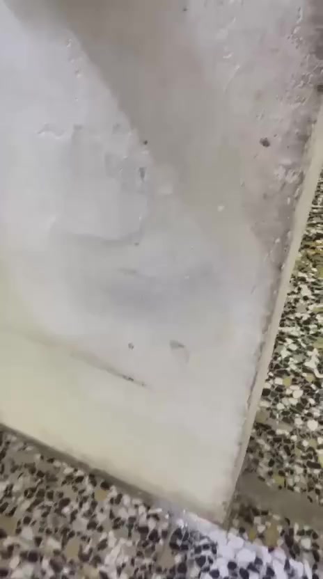 بيت بالزيتون مساحه 180 متر  حواسهم سعر 22 مليون بيه مجال قليل
***********
