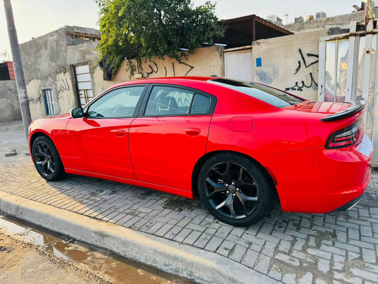 سلام عليكم من رخصت الادمن المحترم
جارجر موديل 2018
وارد اكندي  كفاله عامه 
جاهزه للخير 
مكينه كير كفاله
المسافة المقطوعة 90 m
حجم المحرك 3600
مواصفات بلاك ترب
* داخل اسود
* كامره خلفيه
* مصابيح امامية زنون مع بلوجكتر LED .
* ويل قياس20 .انج
* شاشه كبيرة مع نظام ملاحة نفكيشن GPS .
* مقاعد أمامية كهربائية
* مقاعد أمامية  وتدفئة .
* تشغيل عن بعد . .
* محدد سرعة . .
* كاميرا خلفية دوارة.
* ⁠حساس خلفي
* مرايا  ترحيب متحسسة للاضاءة
* دخول ذكي (بصمة) .
مكان السيارة البصره 
للاستفسار عن السعر واي تفاصيل اخرئ الاتصال متوفر واتساب
***********
