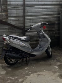 منغولي • بلادية • مكفوله