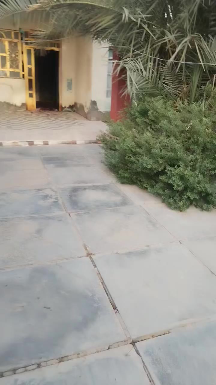 بيت للايجار في منطقة العطاء قرب ملعب السنبله قرب المدرسة ابتدائيه ومتوسطة يحتوي على غرفه ومطبخ وصاله وحديقه وطارمه السعر ١٠٠


**إذا كنت صاحب هذا الإعلان وتريد حذفه لأي سبب، رجاءا أرسل رسالة إلى الدعم الفني**