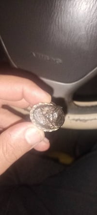 محبس • هبهاب طبيعي • دوره