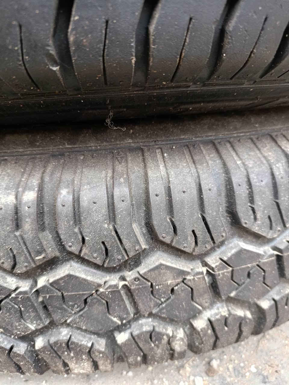 عدد 5 جديد حيل
الديوانية قضاء الشامية
***********
