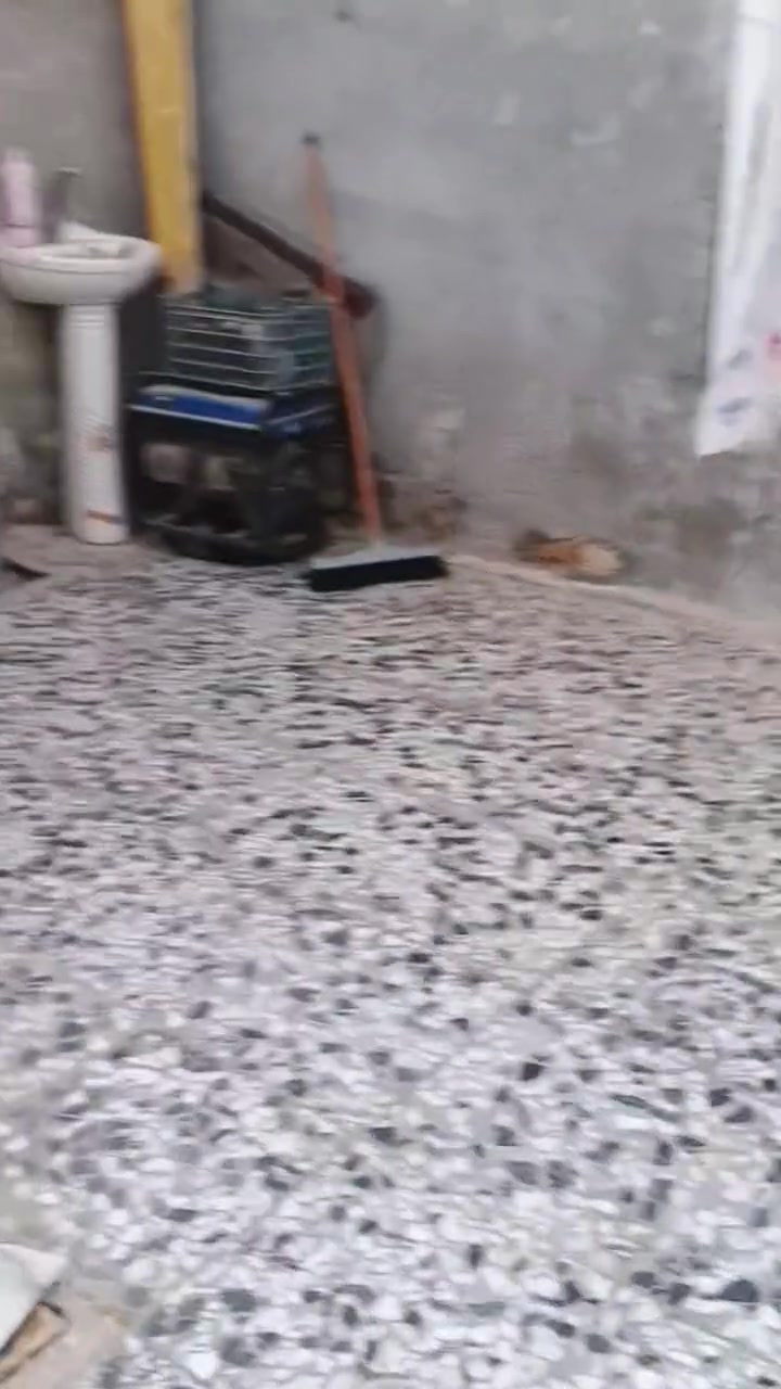 سلام عليكم بيت لبيع مساحه 200خلف احمد لقاضي استفسار عل رقم ***********
