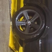 مراوس • ١٧ انش • بابل مركز