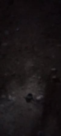 مستعدون لصيانة الطباخات 07713549952