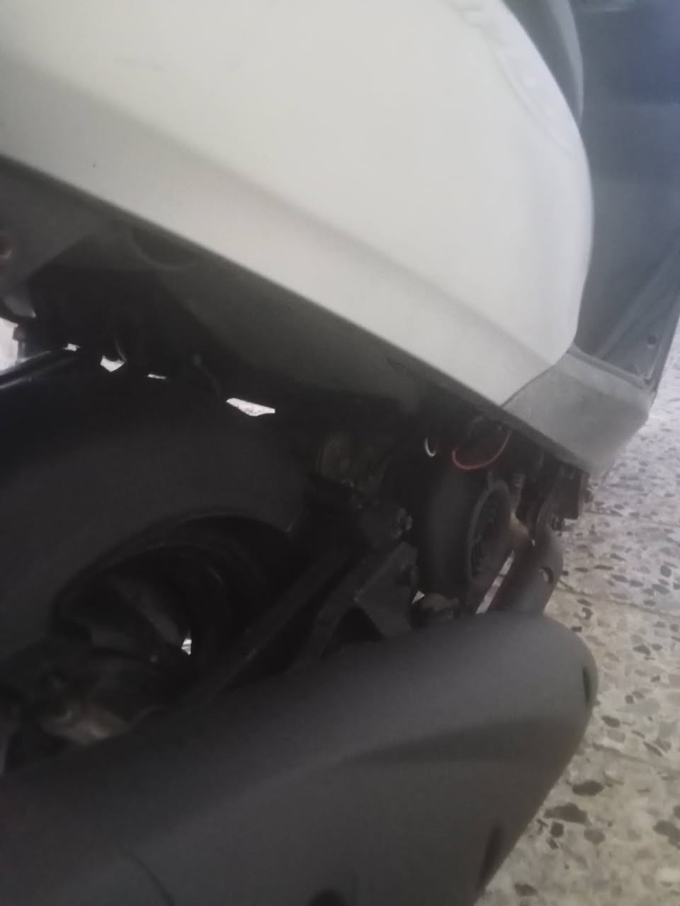 السلام عليكم دراجه فريز ببغاء جاهزه للبيع بغداد المدينه سعرها 750 رقم الهاتف ***********
