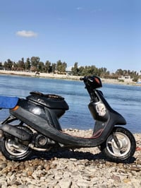 بوتين • معمر جديد • مكسور الكدام