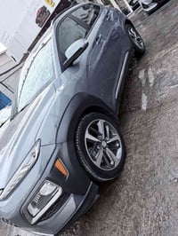 كونا فول • ٢٠٢٠ • صبغ