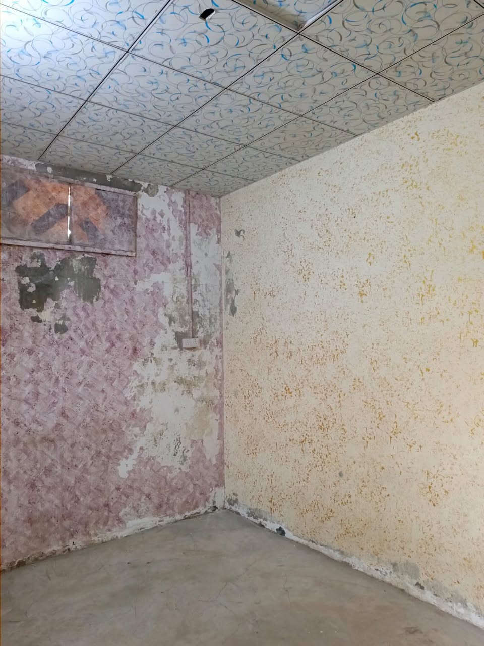 ياالله سلام عليكم يوجد الدينه بيت بل طوبه ونخيله البيع المساحه 150م طابو صرف يحتوي البيت على غرف نوم 2وصاله ودوانيه وصحيات داخليه وخارجيه الستفسار تصال على رقام تاليه ***********//***********
عقارات ابو علي الجابري
