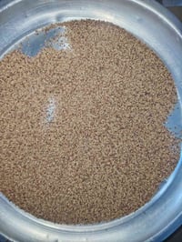 بذور جت  مكفول  سعر الكيلو 15 النظافة فول  الكمية مفتوحه  الاستفسار عن...