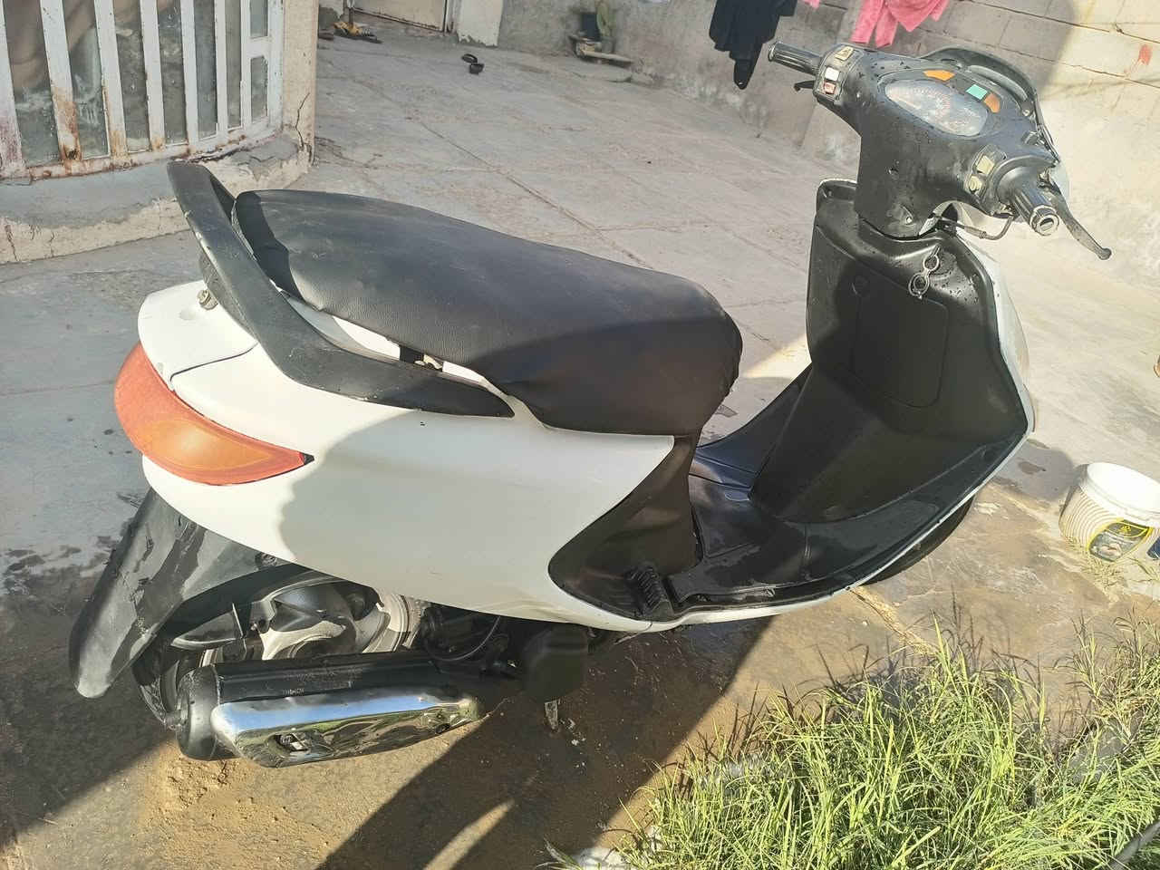 فراشه فحل للبيع المكان دوانيه بلدغاره السعر 350وبيه مجال
للستفسار ***********
