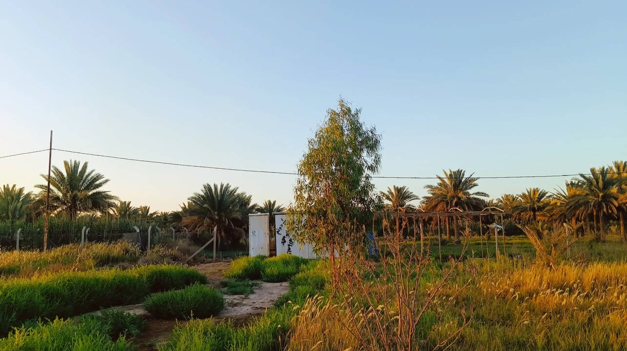 ◽ نصف دونم للبيع في كربلاء
المساحه الف وميتين متر 1200 

 في كربلاء المقدسة، على جهة باب طويريج، قرب قناة كربلاء  يبعد عن الشارع الرئيسي قريب على مدينة الزائرين .
 (واجهة 23 ونصف متر)
الملكية: طابو 25 – تحويل سهم مباشر للمشتري
يحتوي على ، كرفان، بئر ماء مع غطاس
توفر الخدمات بالكامل (كهرباء، ماء، ومولد قريب)
 محاط بـ BRC ومثبت الحدود
 قريب من منطقة سكنية

• الاستخدامات الممكنة:
 بناء فيلا أو دار سكنية
أو دار لاستقبال زوار الإمام الحسين (ع)
أو أي إستثمار اخر

السعر 65 مليون وبيهه مجال قليل

 للاستفسار الاتصال على الرقمين:
 ***********
***********
