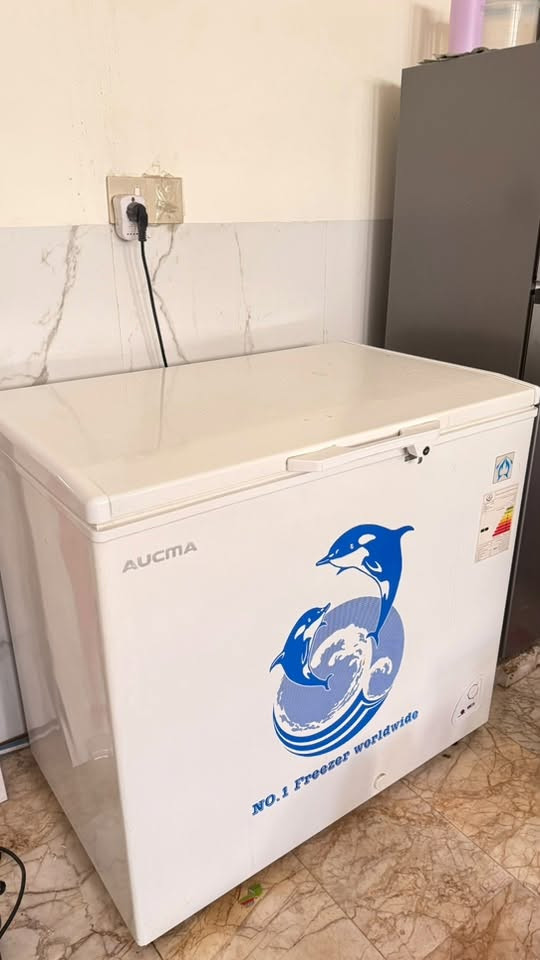 مجمدة AUCMA (سعة 310 لتر) 10 قدم
لون ابيض ، جديدة مستخدمة 9 اشهر فقط ، مابيها اي ضرر او عطل
تجميدها قوي وسريع ويحافظ ع درجة الحرارة حتلو اطفت الكهرباء ، داخلها لون رصاصي سهل التنظيف
سبب البيع : اريد اشتري مجمدة اصغر
لسعر 250 الف
مكاني الكاظمية
***********
