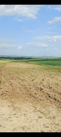 ١٣ دونم • طابو • زراعي