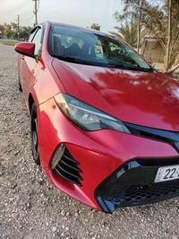 كورلا امريكي • ٢٠١٩ • رقم اربيل