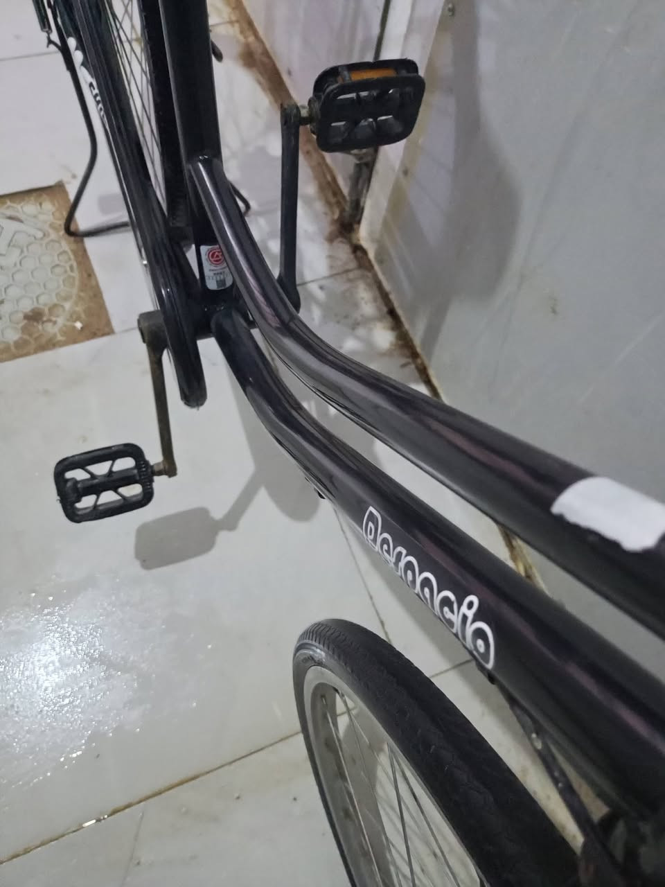 باسكل مديل 19 جاملغات موجوده 80 وبي مجال
نجف شارع كربلا عمود 83 
***********
