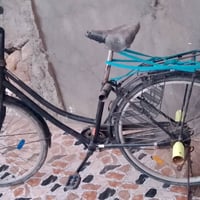 بسكليت • ياباني • حله عوفي العيفار