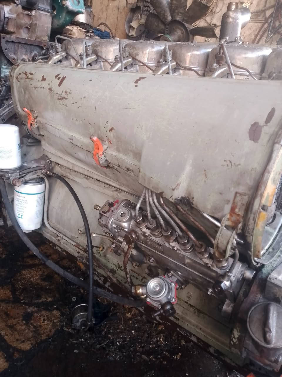 🔥موجود في شركة البيان التجاره 🔥دوتس من جميعهن محرك شرط يكون الكرنك ستندر بلور اخو  
🔥التواصل خاص👈


**إذا كنت صاحب هذا الإعلان وتريد حذفه لأي سبب، رجاءا أرسل رسالة إلى الدعم الفني**