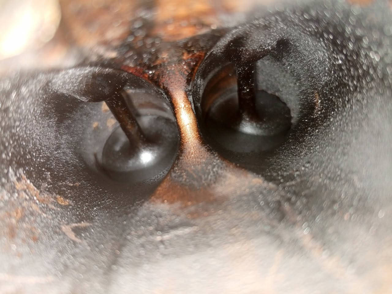 ادامة كيا كوريس 2014 بتاريخ 2026/2/25

V6 
مركز المصطفى لإدامة السيارات 
سيارات الأربعة سلندر 50 الف 
سيارات الستة سلندر.  65 الف 
العنوان السماوة شارع السيراميك مقابل شركة فجر الطاقة مجاور معرض الخفاجي للانشائية 

***********
