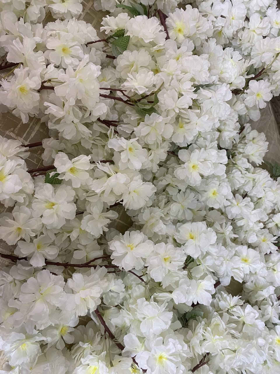 مرحبا .. اللي رادو صور اوضح للورد .. هذا الورد نظيف جدا.  استخدمته للكوشات .. الابيض قسم منه بعدة بطول الغصن نفسه وقسم منه اقصر حسب  استخدامة بالكوشة .. الكرستالالت ١٠ قطع جديدة .. طولهة مترين .كلهة للبيع اكيد .


**إذا كنت صاحب هذا الإعلان وتريد حذفه لأي سبب، رجاءا أرسل رسالة إلى الدعم الفني**